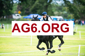 六台记者：阿隆索4点半得知下课，先是惊讶，然后是解脱如释重负